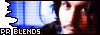 prbutton21.gif